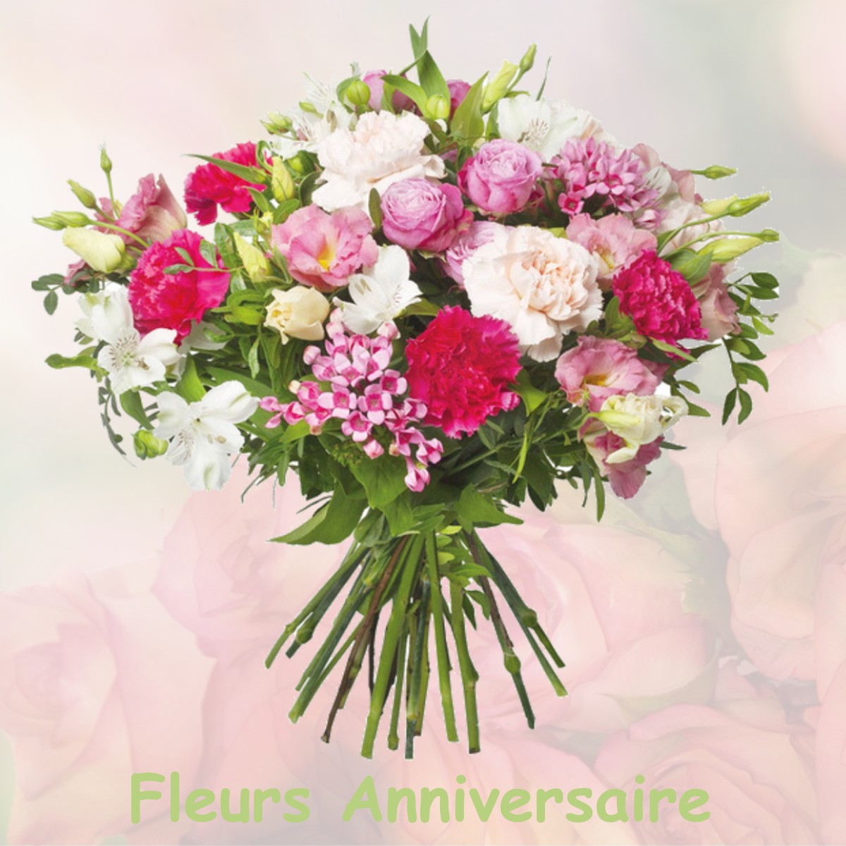 fleurs anniversaire CLERMONT-D-EXCIDEUIL